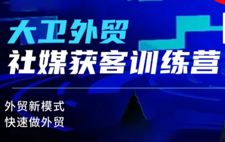 【精】大卫老师·外贸社媒获客独家训练营(更新2月)-AI智界创业